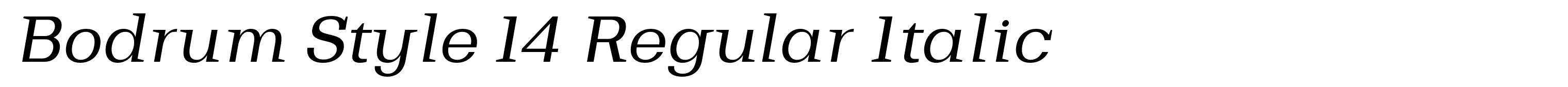 Bodrum Style 14 Regular Italic